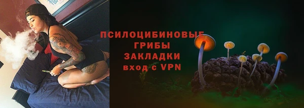 гидропоника Ладушкин
