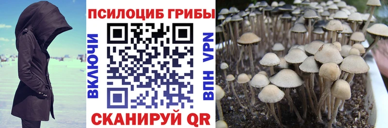 Галлюциногенные грибы MAGIC MUSHROOMS  Купить закладки  Северобайкальск 